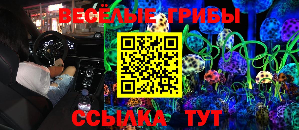 Канск  Галлюциногенные грибы мухоморы  Вход с VPN 
