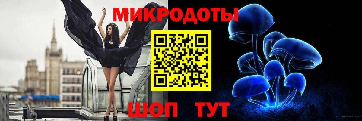 Псилоцибиновые грибы мицелий Канск